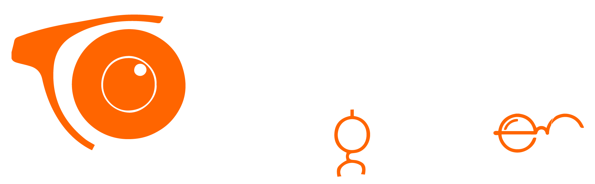 FlipNSunglasses Logo